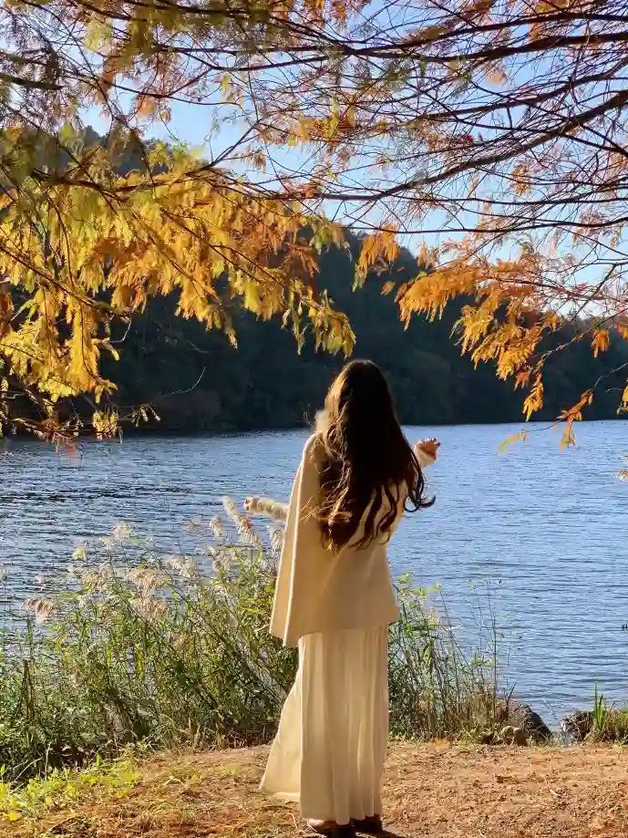 耽美游戏用户画像